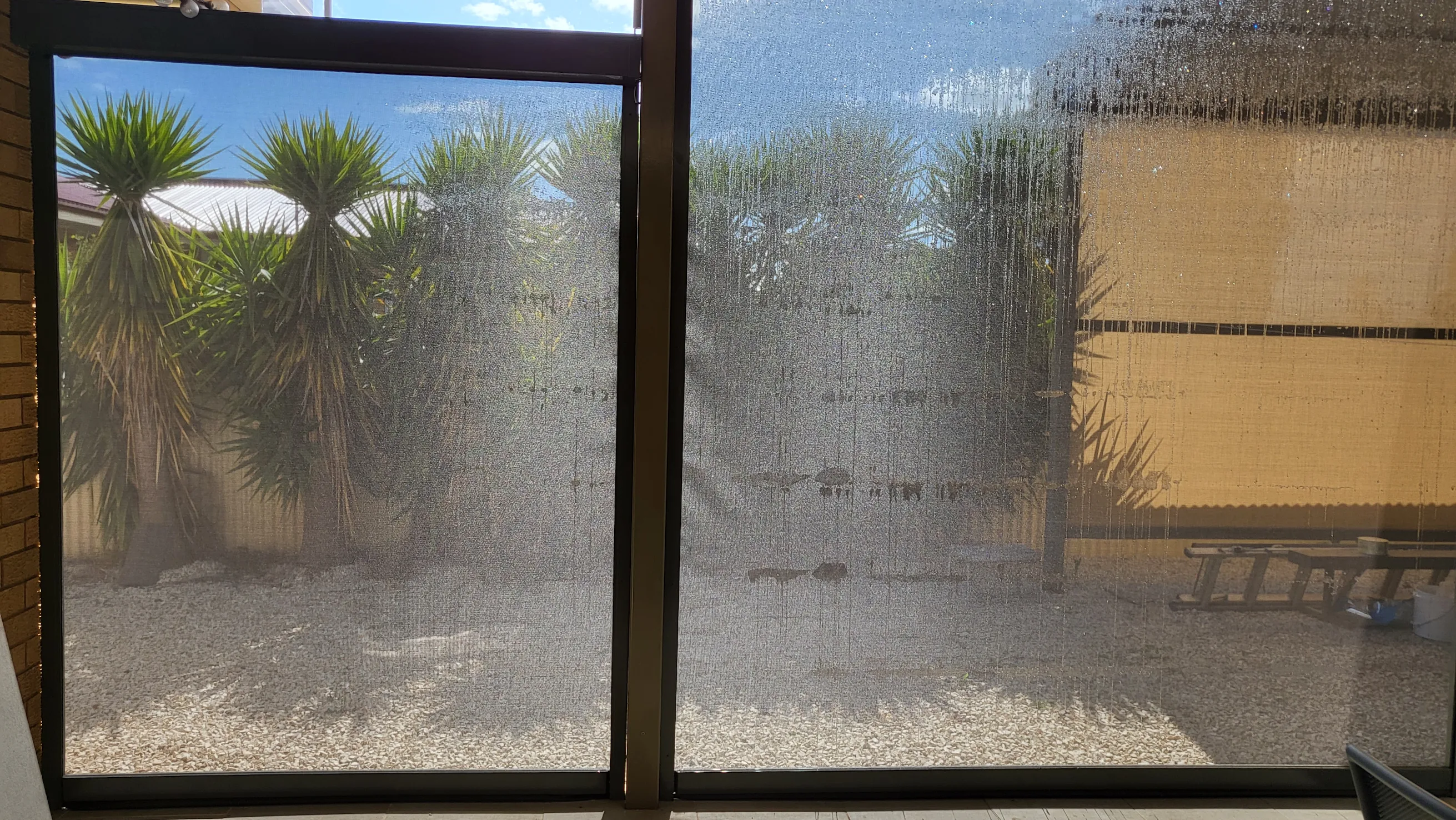 Cheryl Harmer photo 2